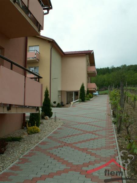 PICT0044.JPG